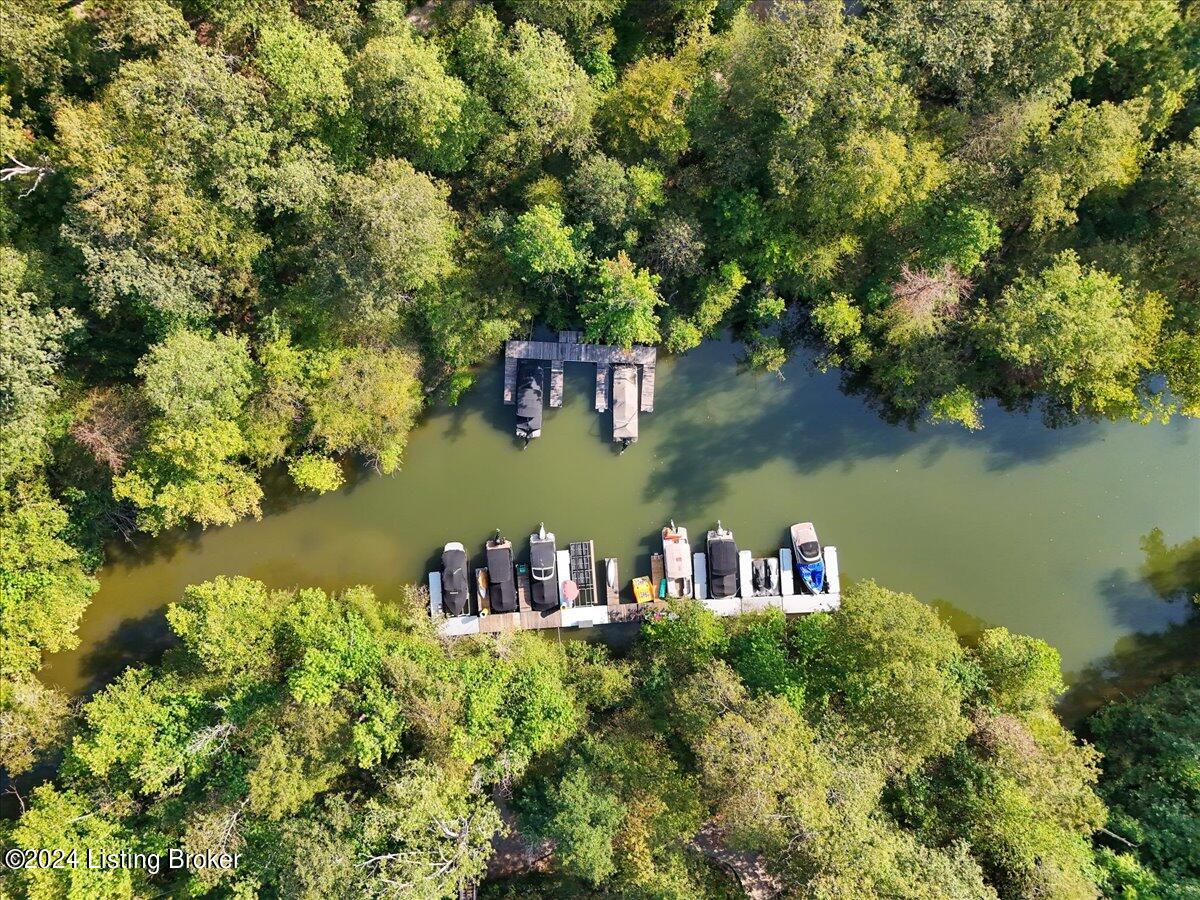170 Moutardier Woods Way, Leitchfield, Kentucky image 4