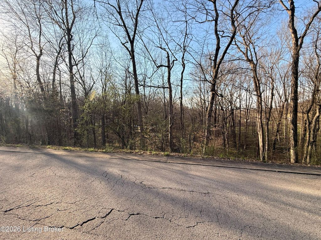 Photo of Lot 6 Tanglewood Dr, Glasgow, KY 42141 (MLS # 1711537)