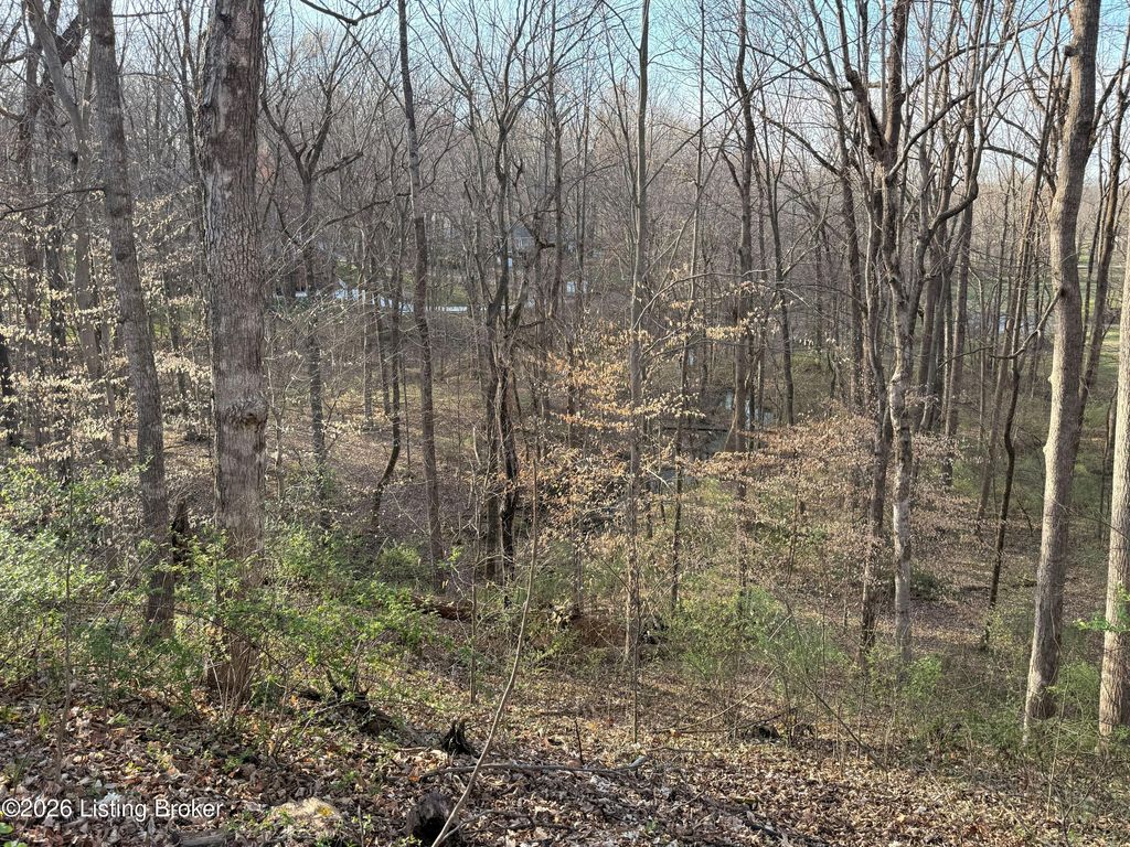 Photo of Lot 6 Tanglewood Dr, Glasgow, KY 42141 (MLS # 1711537)