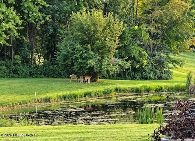 Photo of 3822 Carriage Hill Dr, Crestwood, KY 40014 (MLS # 1723072)