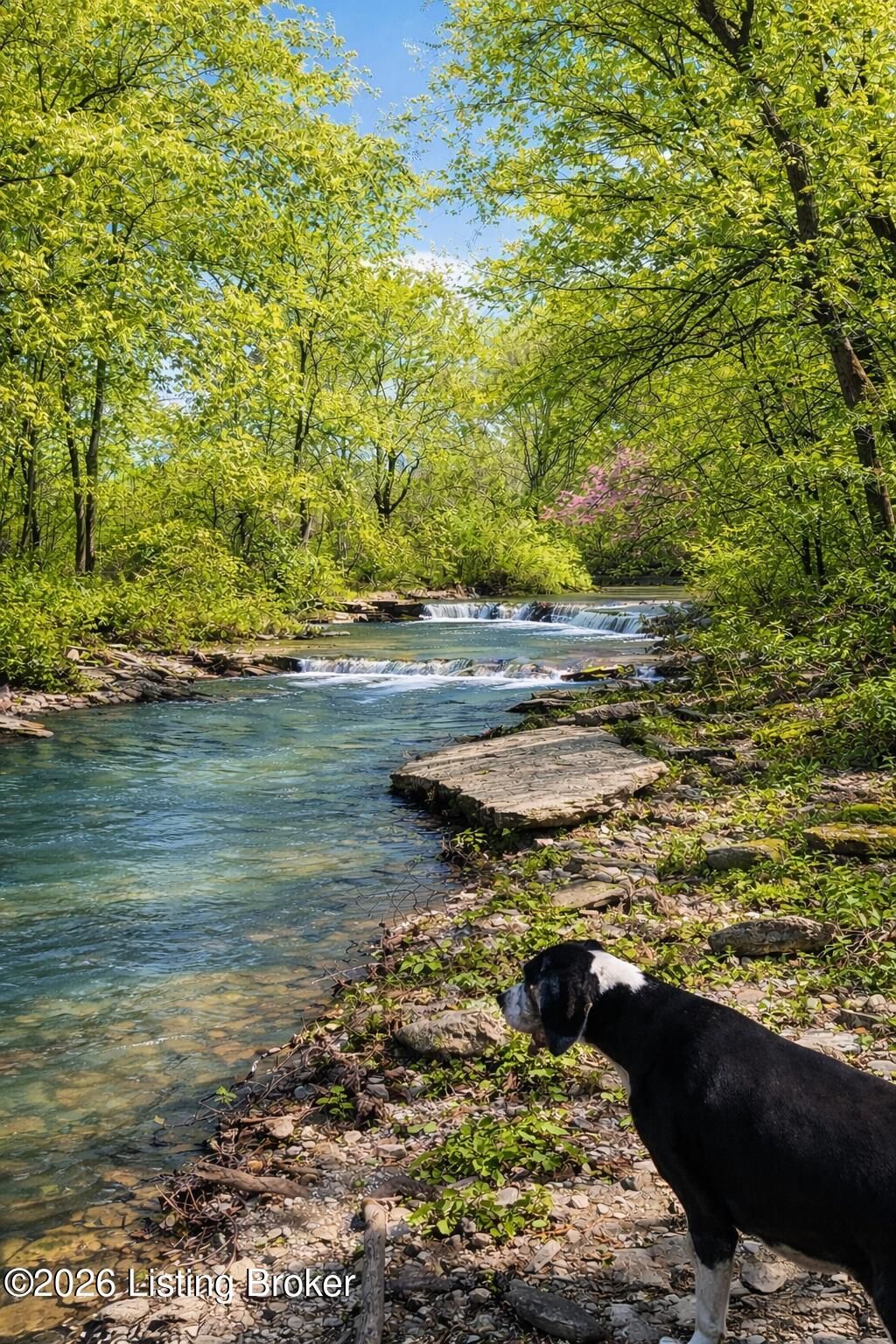 Photo of 2325 Pattons Creek Rd, Pendleton, KY 40055 (MLS # 1710664)