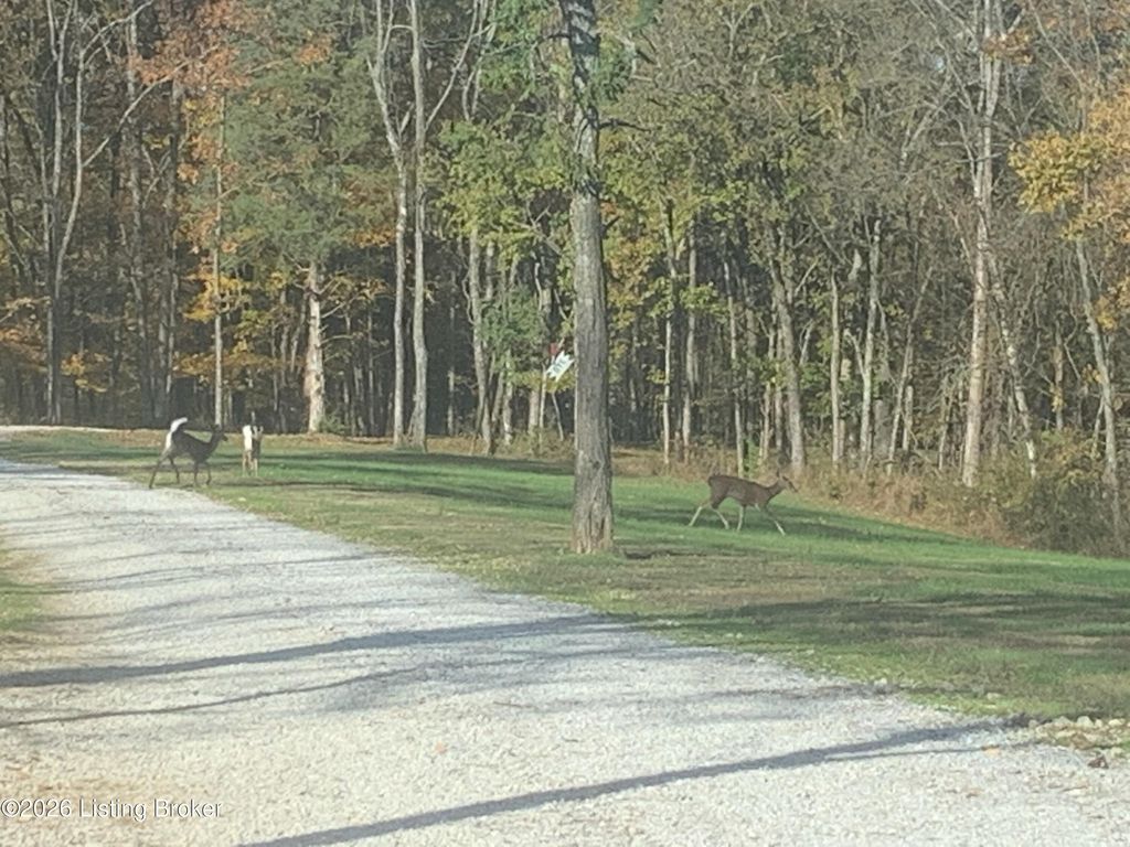 Photo of 2325 Pattons Creek Rd, Pendleton, KY 40055 (MLS # 1710664)