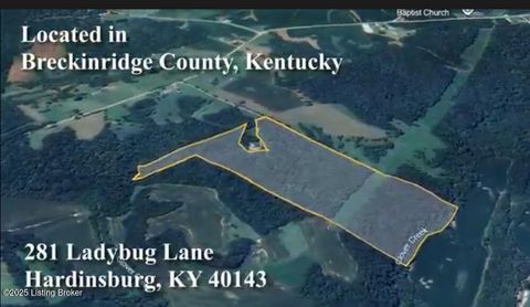 Vacant Land For Sale - 281 Lady Bug Ln<br/> Hardinsburg, KY 40143