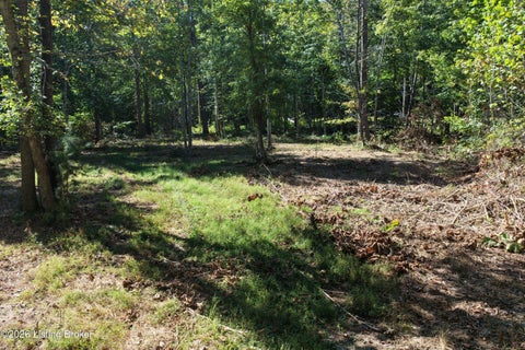 Vacant Land For Sale - Rockledge Rd<br/> Grayson County, Falls Of Rough, KY 40119