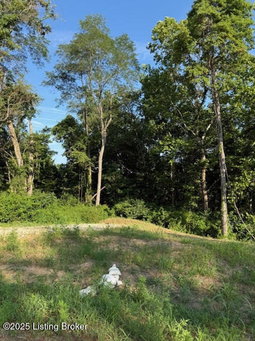 Photo of 4914 Hardwood Forest Cir, La Grange, KY 40031 (MLS # 1695074)