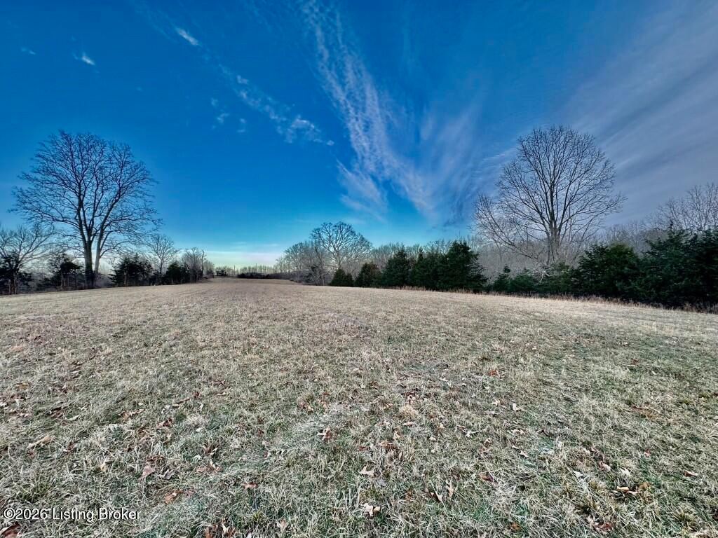 Photo of 4801 Chaplin Rd, Willisburg, KY 40078 (MLS # 1707793)