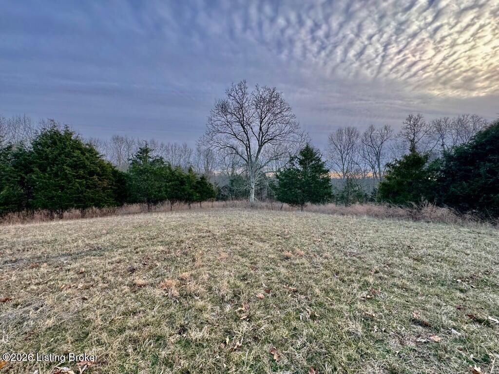 Photo of 4801 Chaplin Rd, Willisburg, KY 40078 (MLS # 1707793)