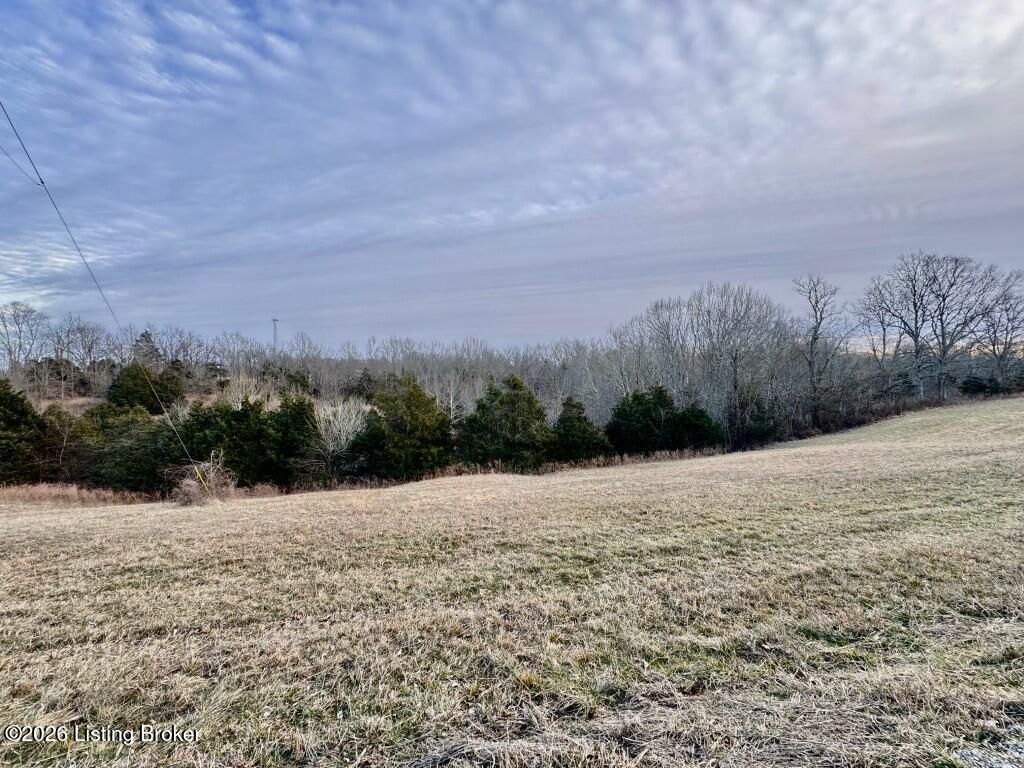 Photo of 4801 Chaplin Rd, Willisburg, KY 40078 (MLS # 1707793)