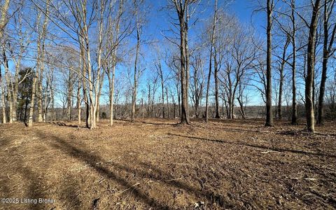 Vacant Land For Sale - 1192 Thomason Cemetery Rd<br/> Grayson County, Leitchfield, KY 42754