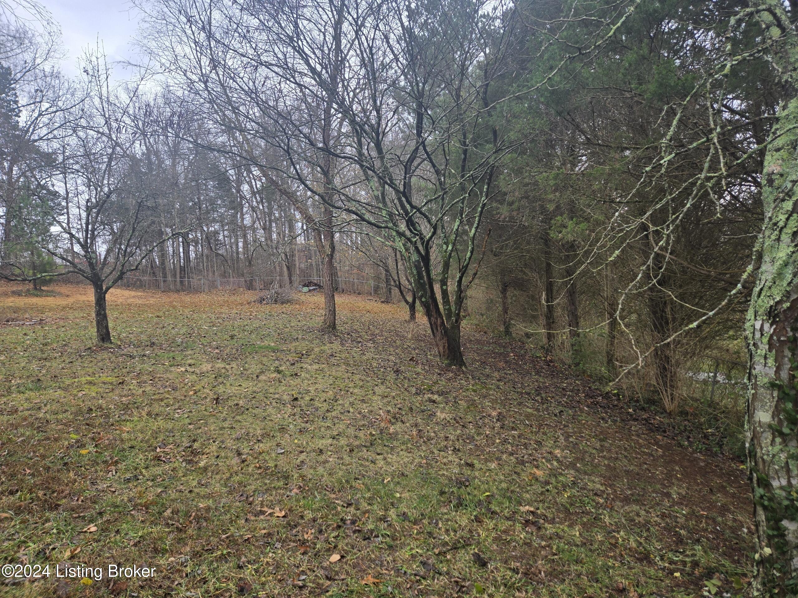 998 Woods Hollow Dr, Radcliff, Kentucky image 13