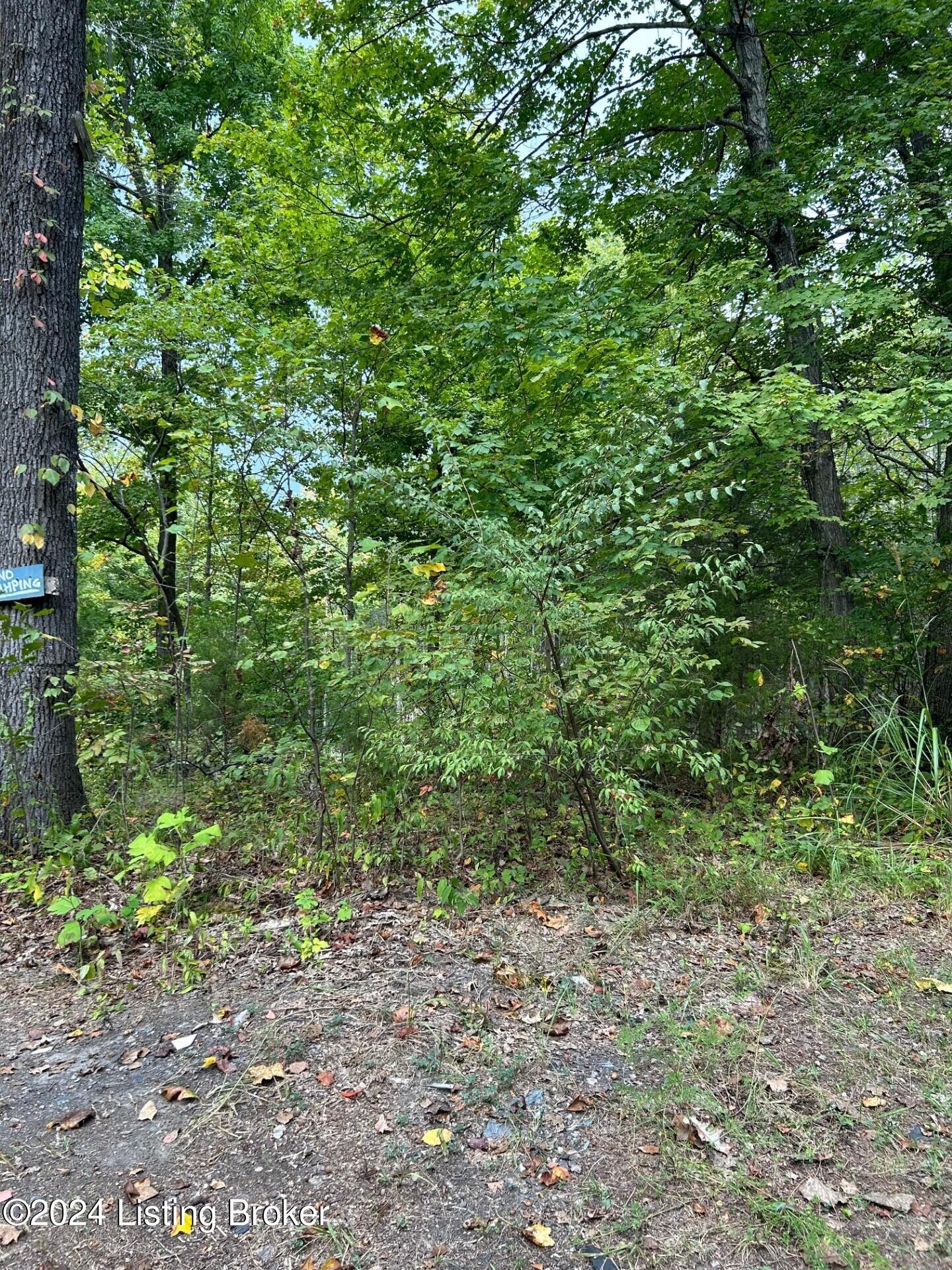 Big Chief Ln, Rineyville, Kentucky image 2