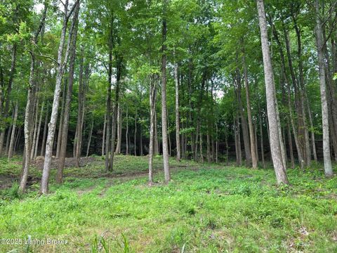 Vacant Land For Sale - 7 Cave Creek Rd<br/> Grayson County, Falls Of Rough, KY 40119