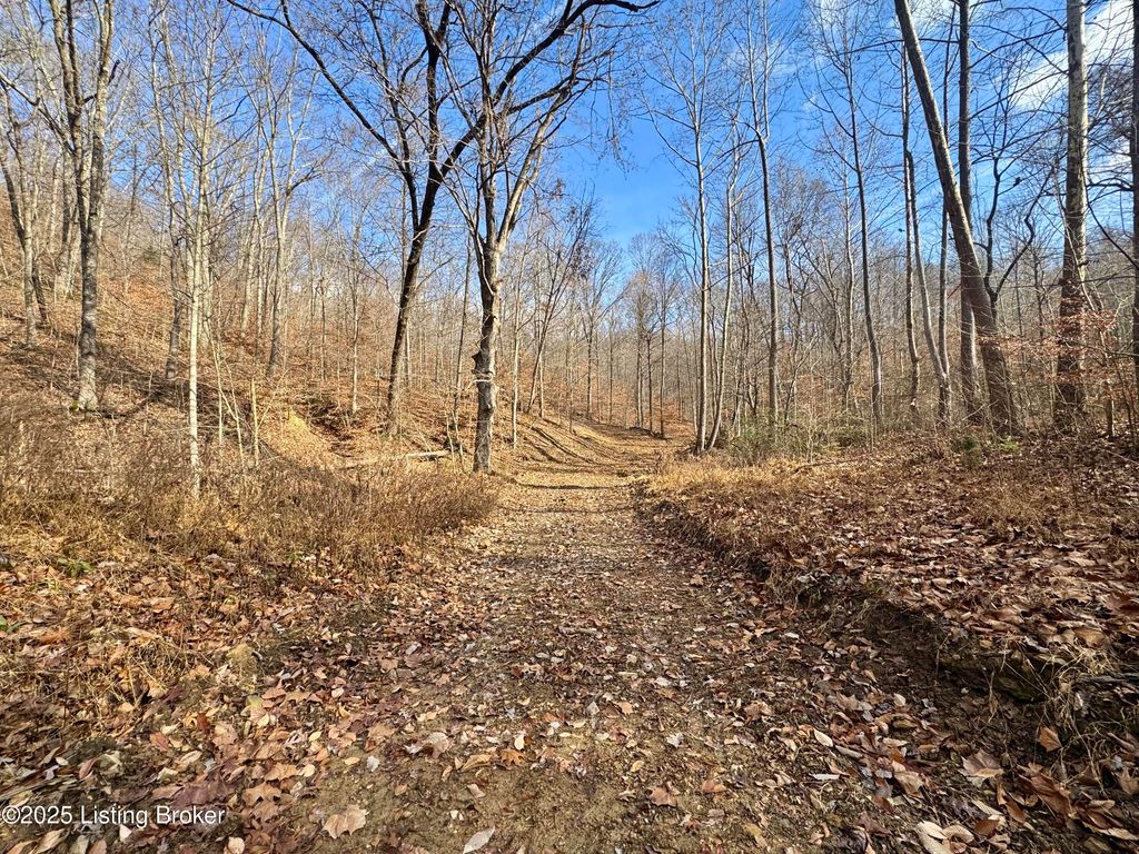 Photo of Tract 9-10 Winding Hollow Ln Ln, Lebanon Junction, KY 40150 (MLS # 1705465)