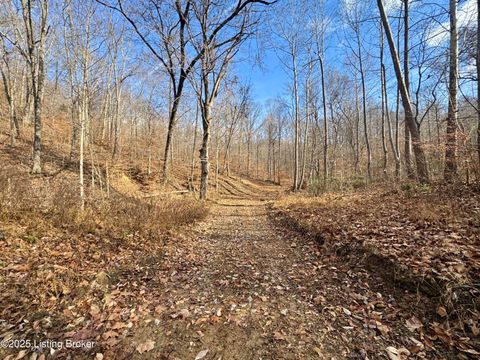 Vacant Land For Sale - TRACT 9-10 Winding Hollow Ln Ln<br/> Lebanon Junction, KY 40150