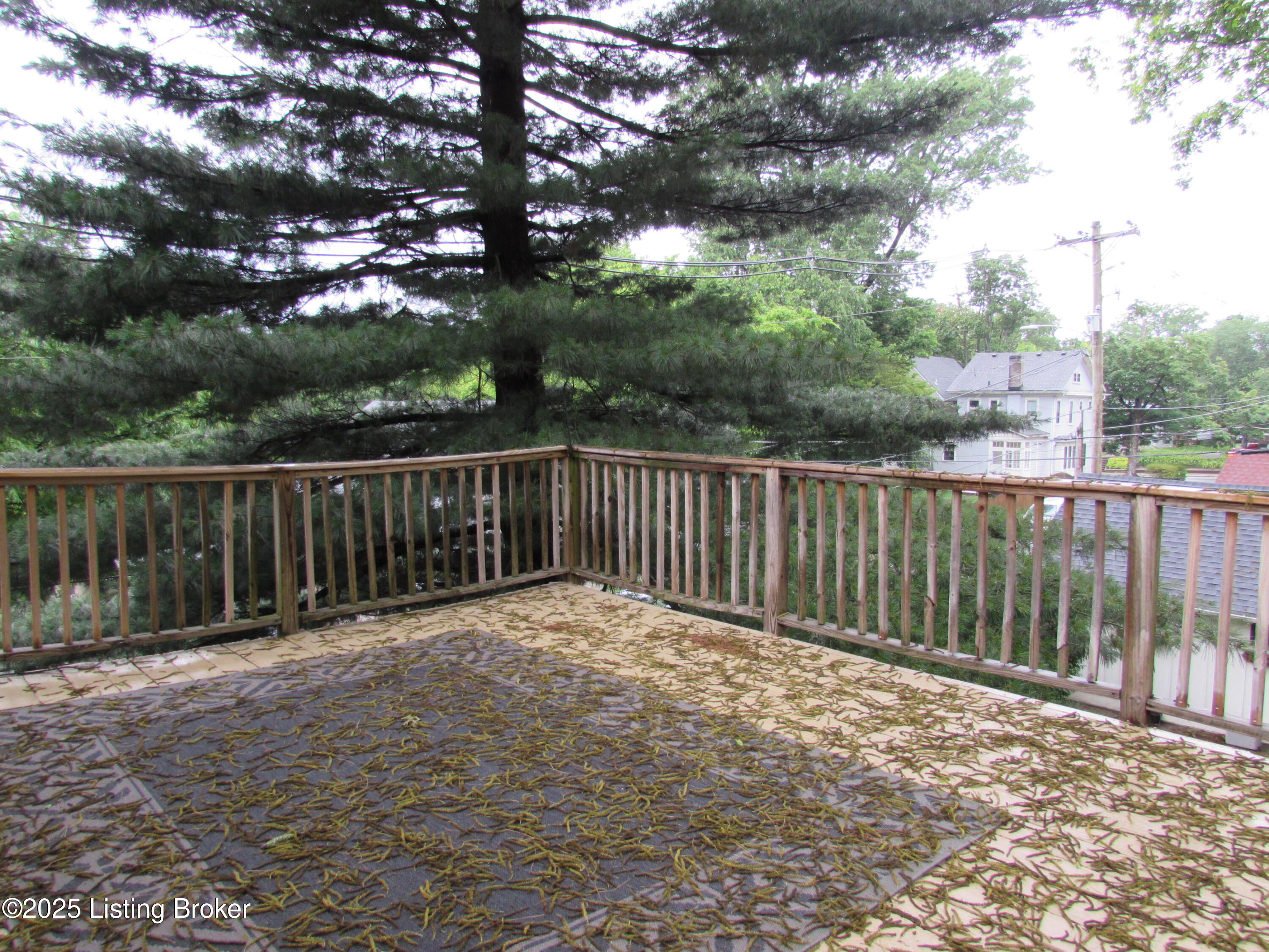 1801 Eastern Pkwy, Louisville, Kentucky image 18