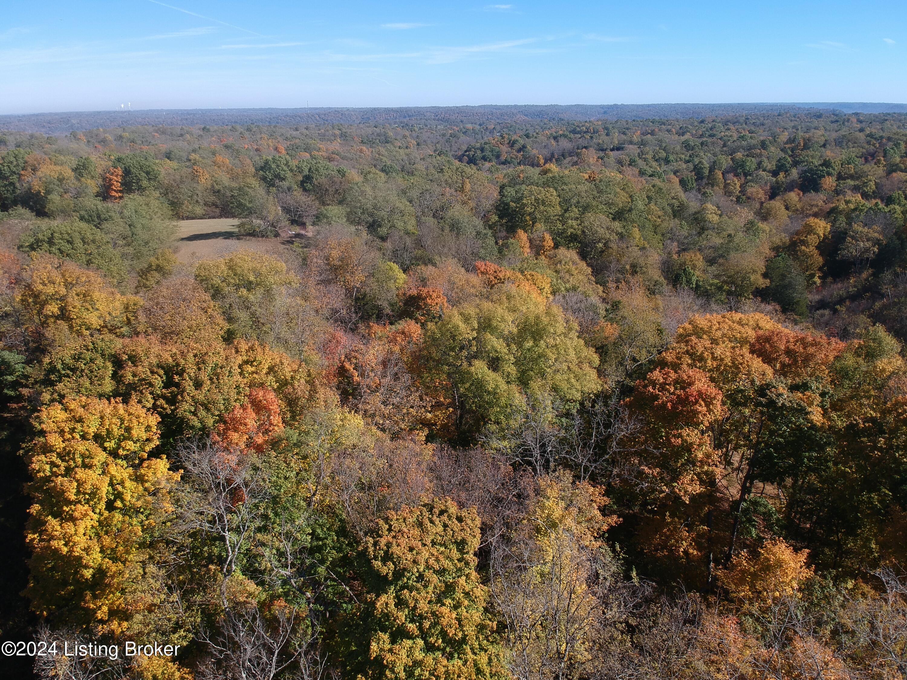Tr 6 Zen Forest Rd #B, Carrollton, Kentucky image 5