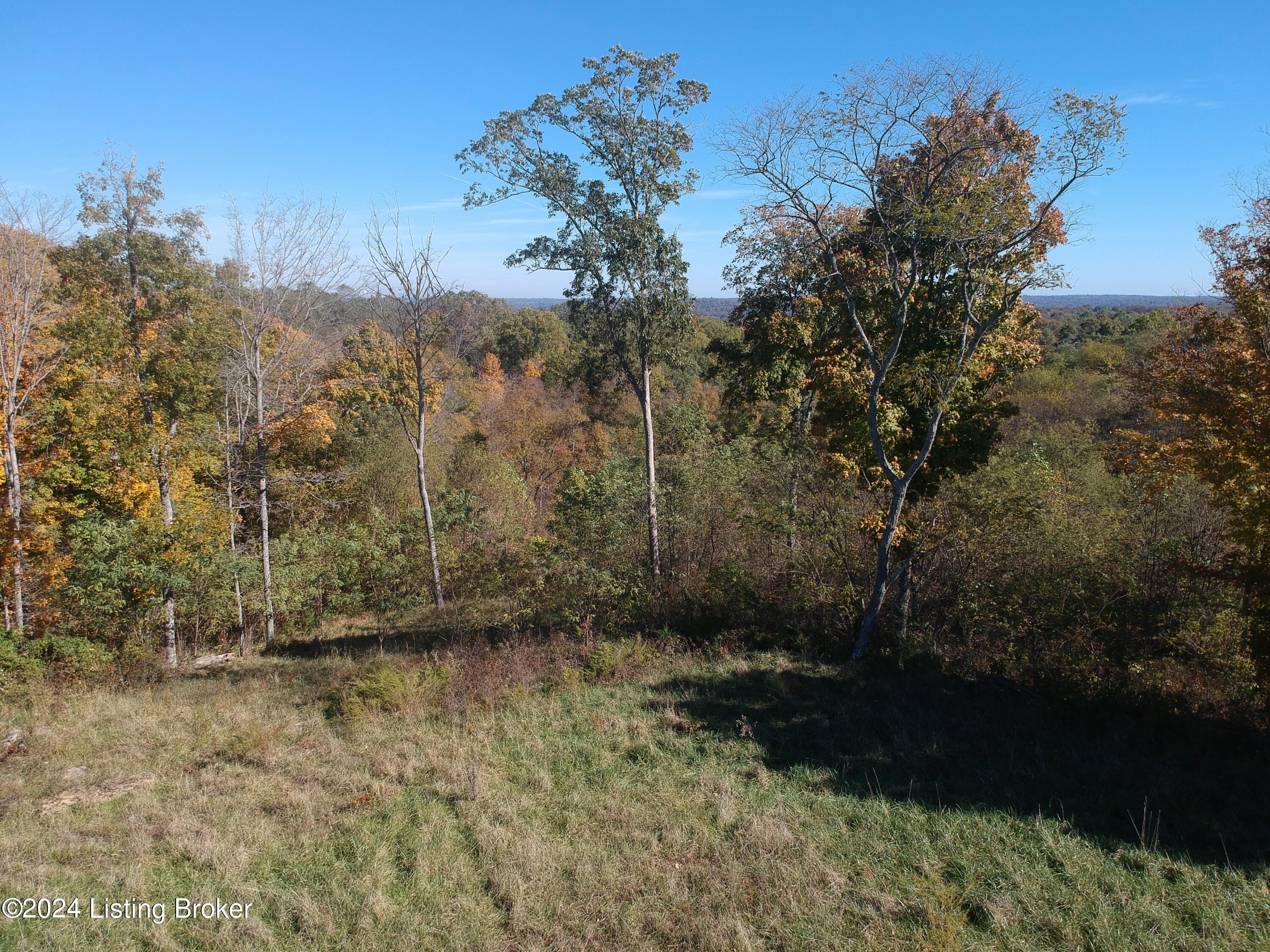 Tr 6 Zen Forest Rd #B, Carrollton, Kentucky image 18