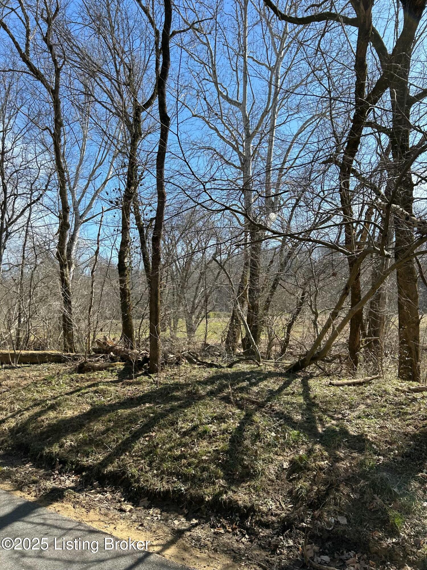 Glen Lily E Rd, Munfordville, Kentucky image 2
