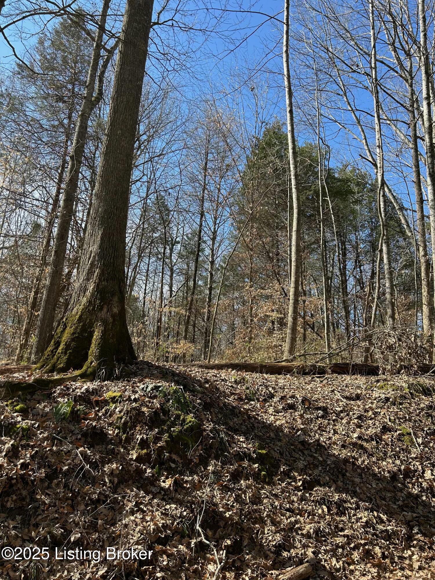Glen Lily E Rd, Munfordville, Kentucky image 3