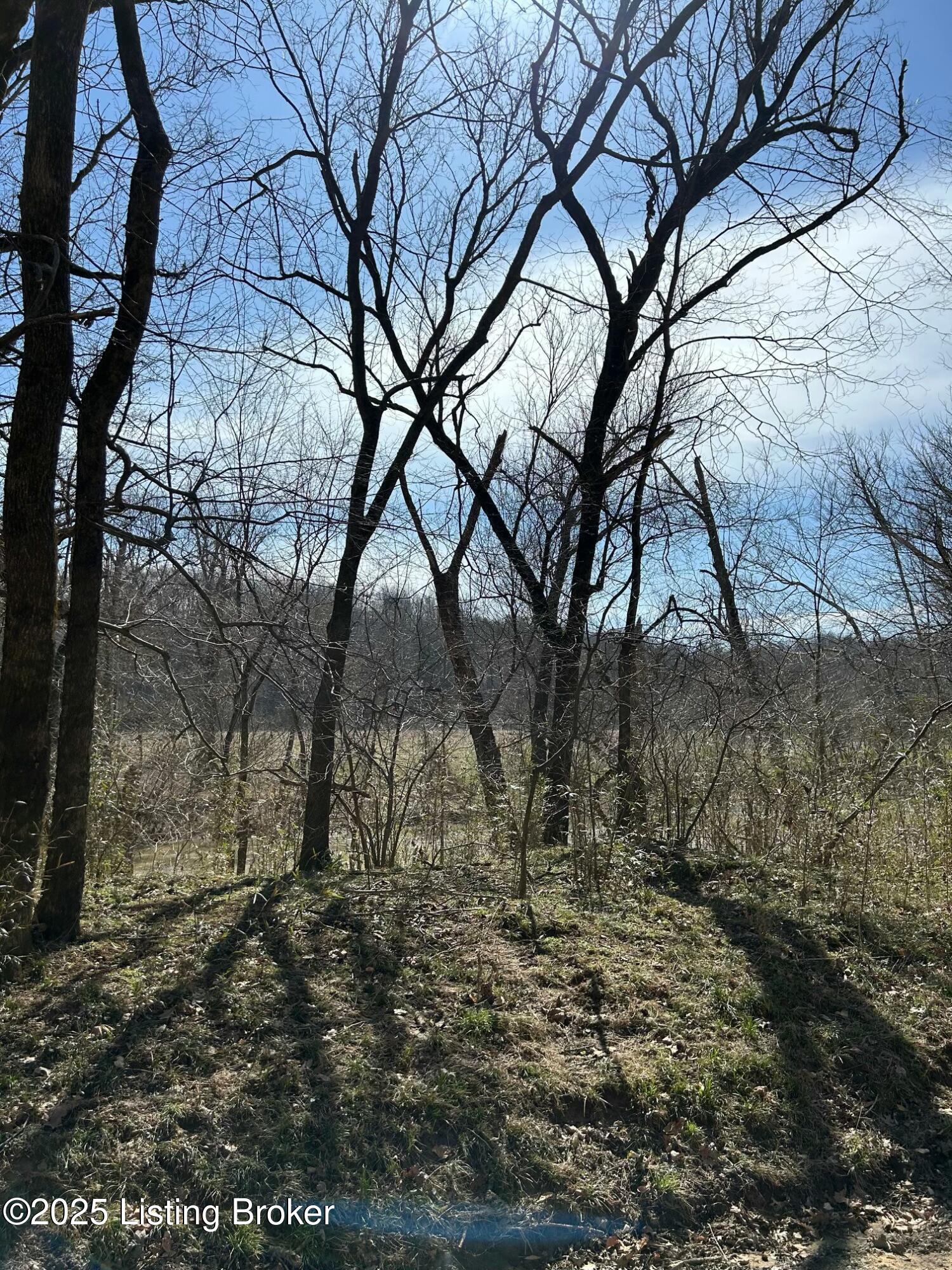 Glen Lily E Rd, Munfordville, Kentucky image 1
