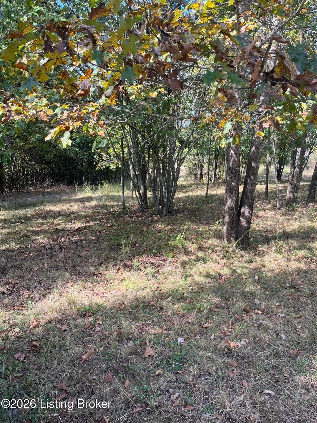 Photo of 1234 Blain Cannon Dr, Falls Of Rough, KY 40119 (MLS # 1730686)