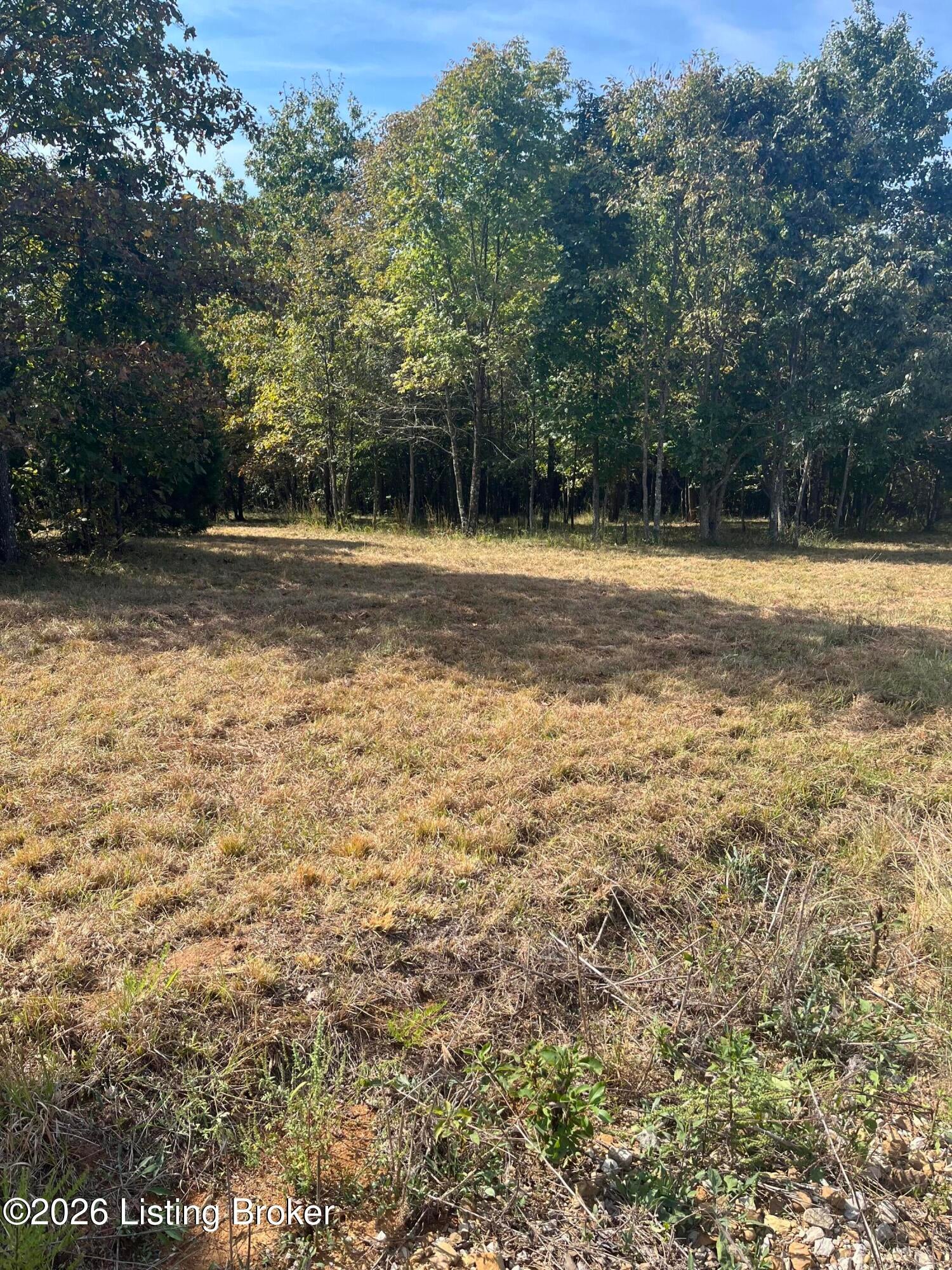 1234 Blain Cannon Dr
