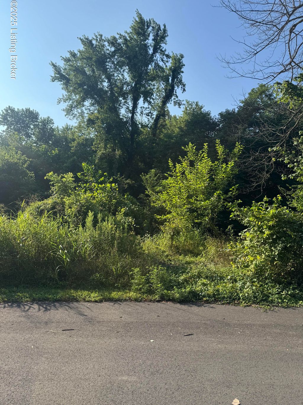 Photo of 5003 Overbrook Dr, Louisville, KY 40216 (MLS # 1707812)