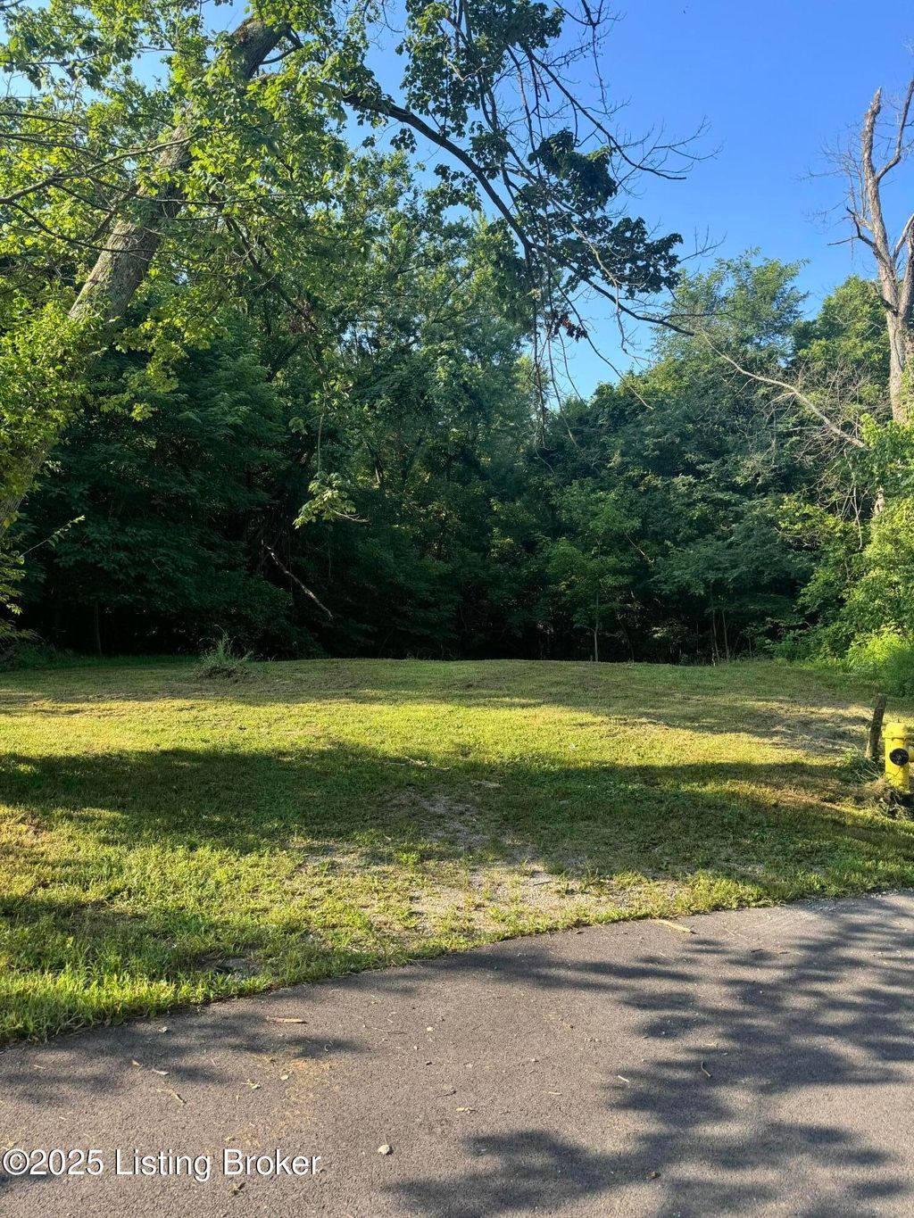 Photo of 5003 Overbrook Dr, Louisville, KY 40216 (MLS # 1707812)