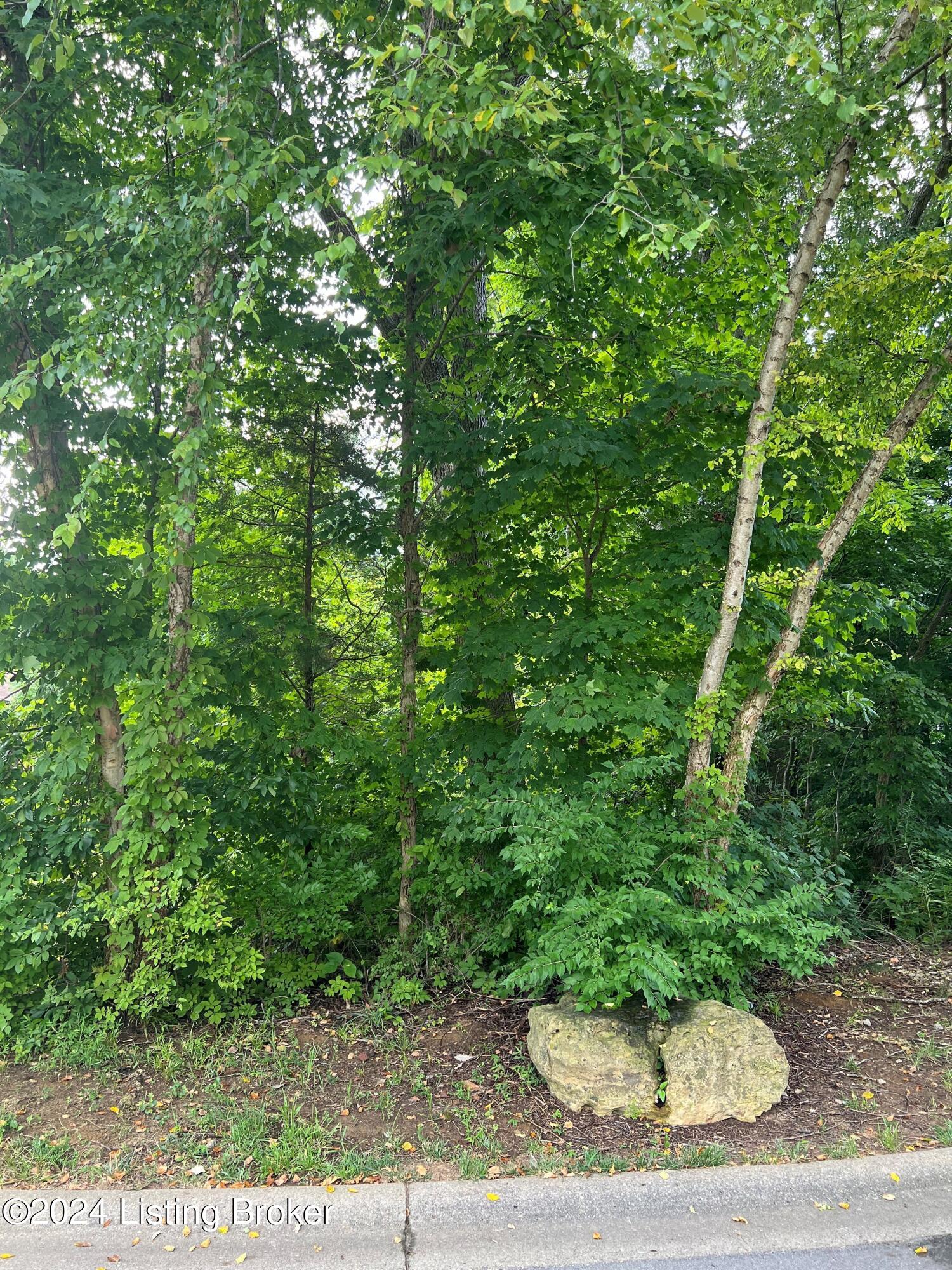 Lot 8 Woodwind Ct, Mt Washington, Kentucky image 2