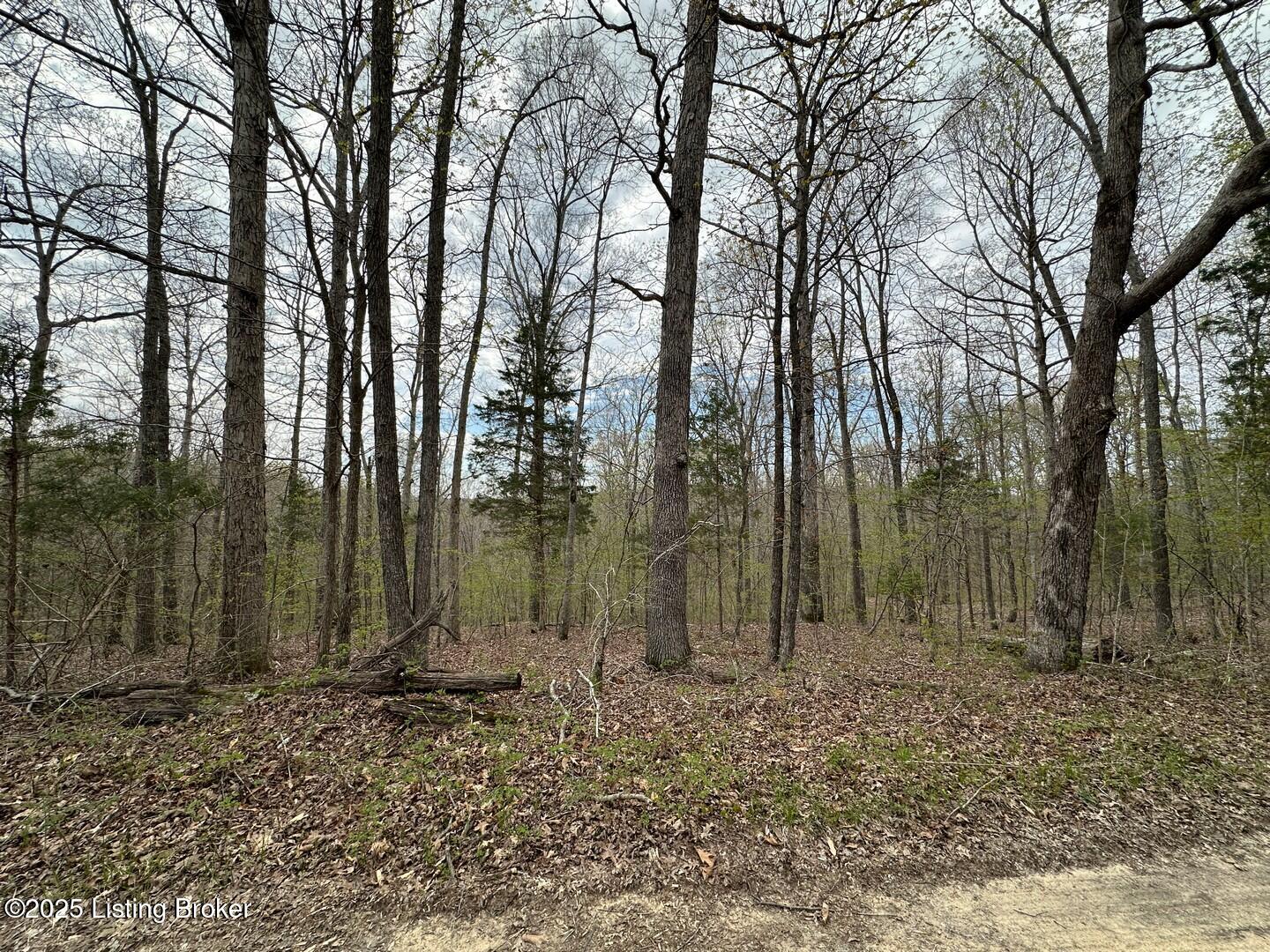 Vic Young Rd, Olaton, Pennsylvania image 19