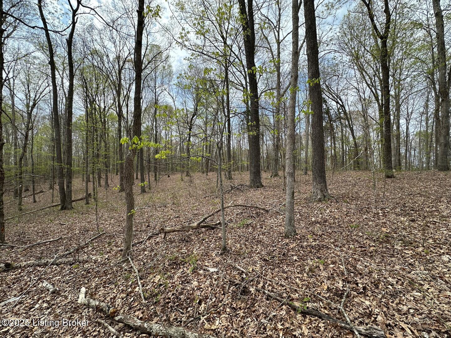 Vic Young Rd, Olaton, Pennsylvania image 9