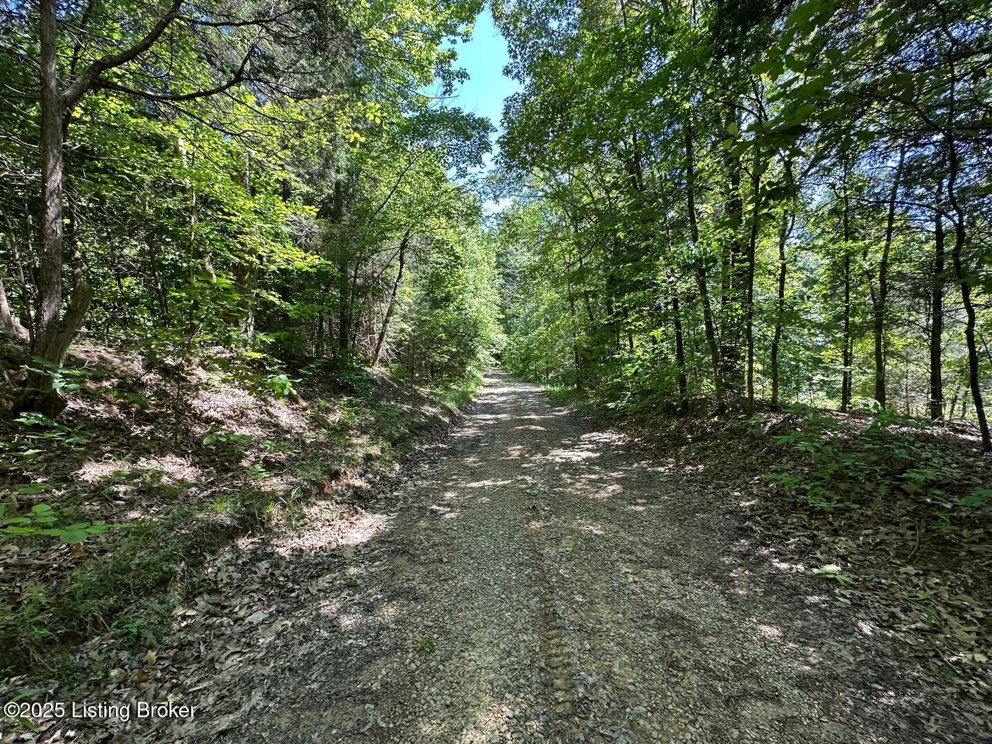 Vic Young Rd, Olaton, Pennsylvania image 41