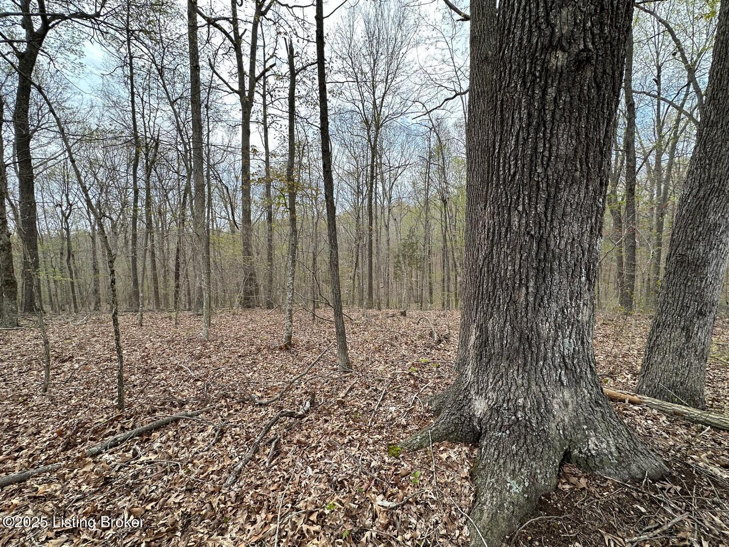 Vic Young Rd, Olaton, Pennsylvania image 4