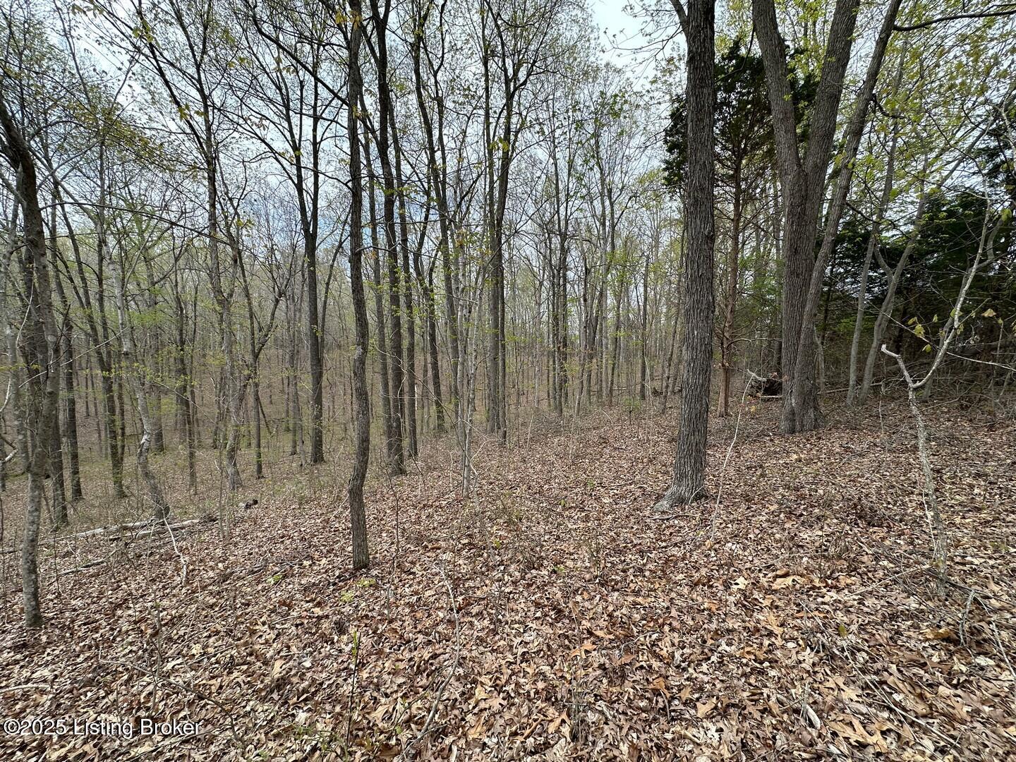 Vic Young Rd, Olaton, Pennsylvania image 7