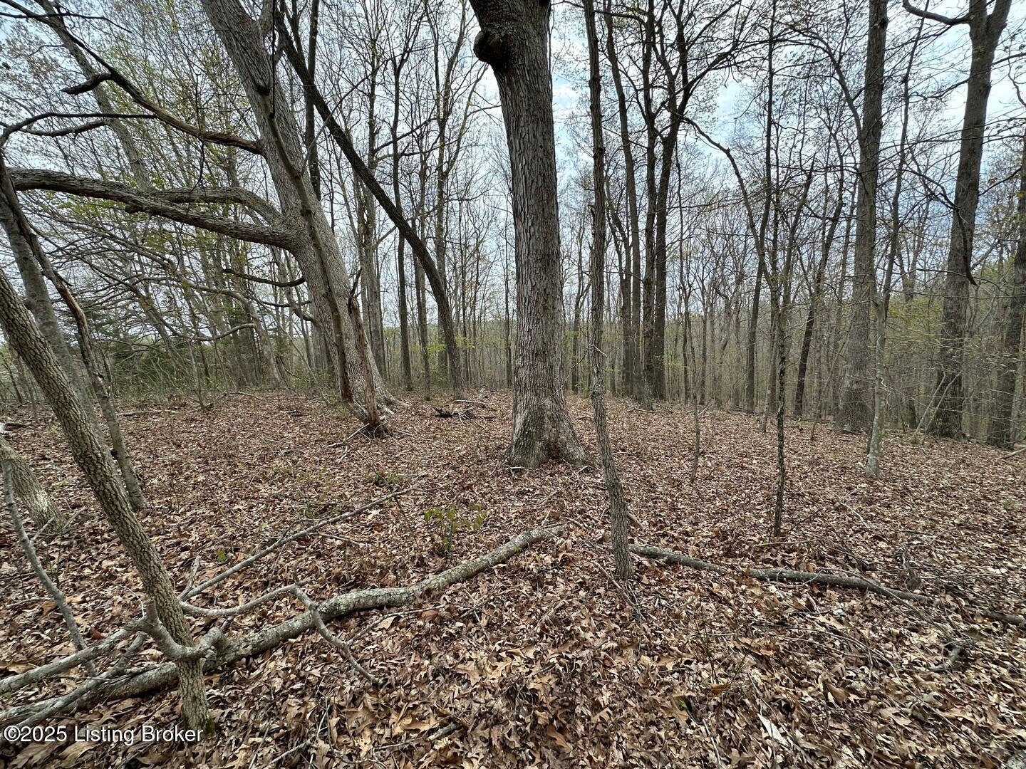 Vic Young Rd, Olaton, Pennsylvania image 5