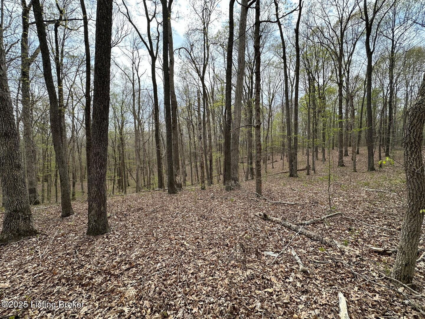 Vic Young Rd, Olaton, Pennsylvania image 10