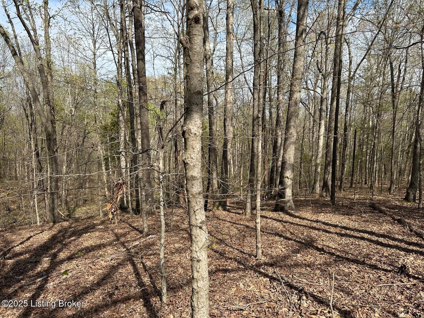 Vic Young Rd, Olaton, Pennsylvania image 21
