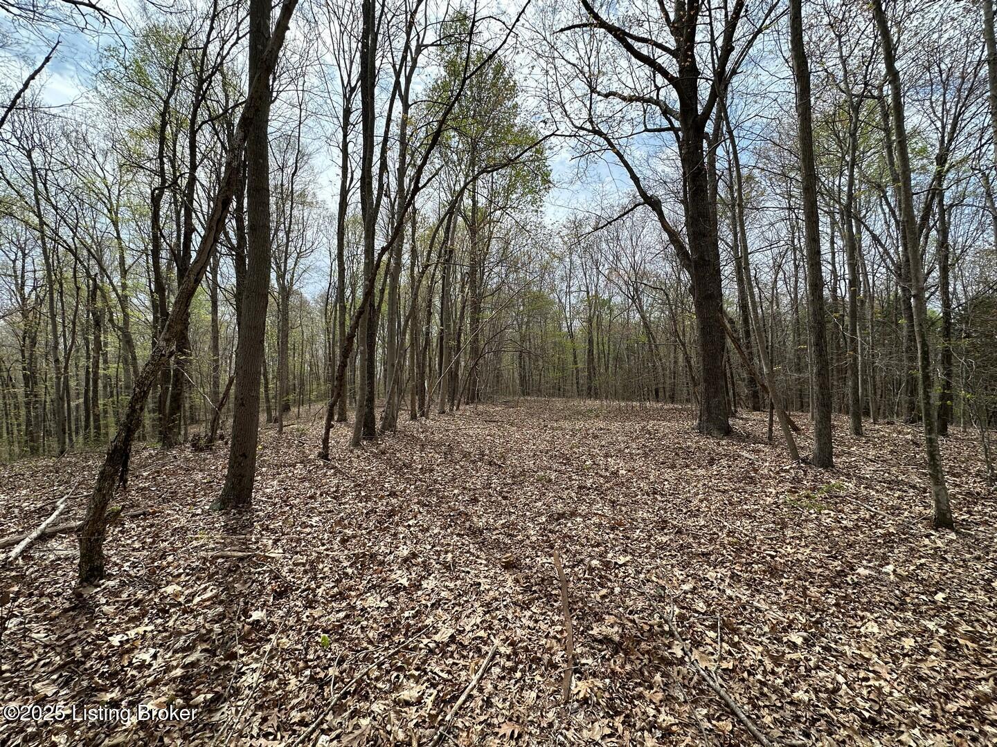 Vic Young Rd, Olaton, Pennsylvania image 11