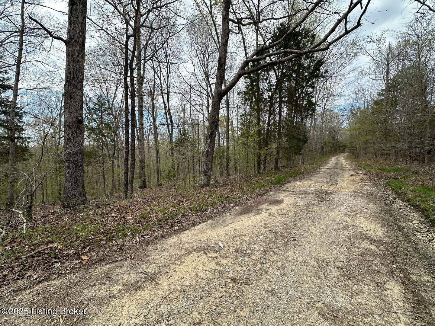 Vic Young Rd, Olaton, Pennsylvania image 18