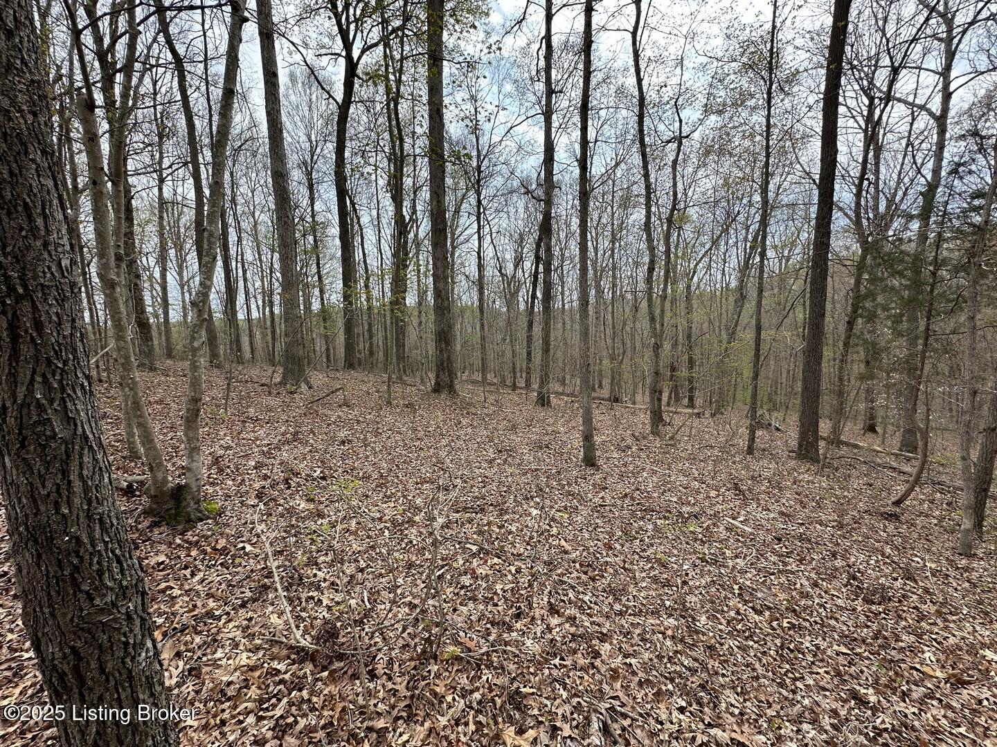 Vic Young Rd, Olaton, Pennsylvania image 8
