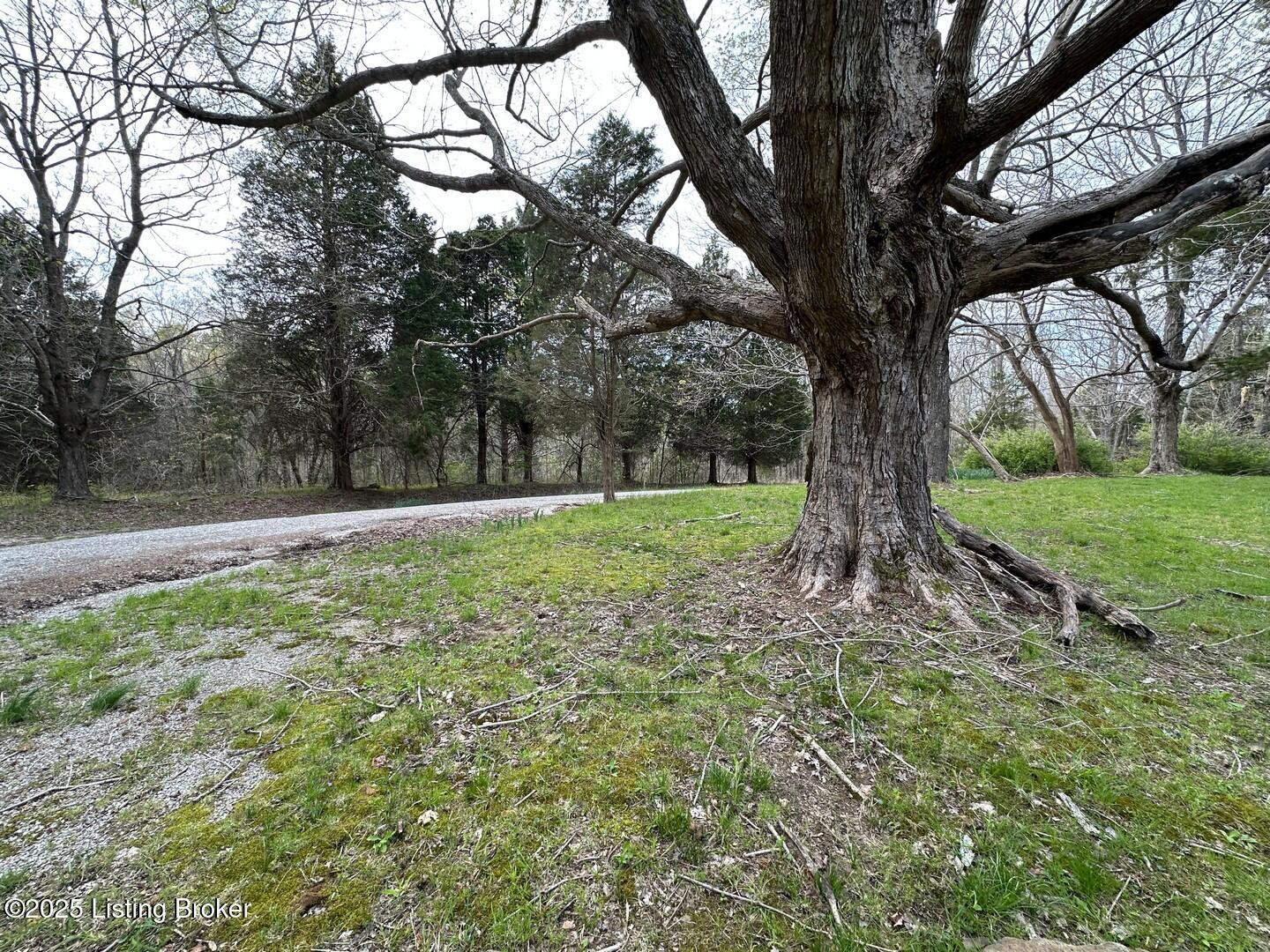 Vic Young Rd, Olaton, Pennsylvania image 17