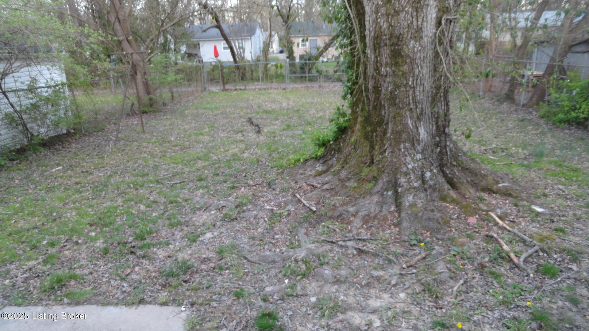 223 N 37th St, Louisville, Kentucky image 4