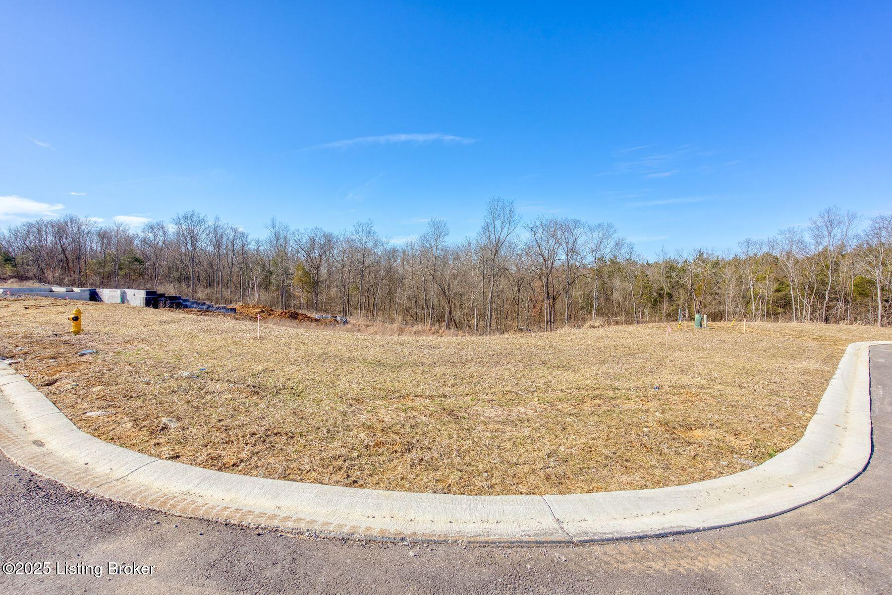 243 Catalpa Leaf Way, Fisherville, Kentucky image 3