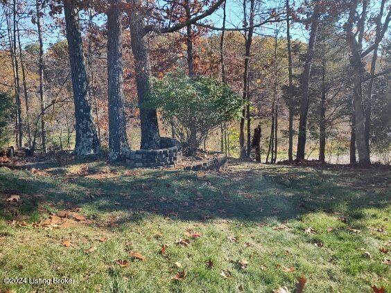 3501 Hardwood Forest Dr, Louisville, Kentucky image 49