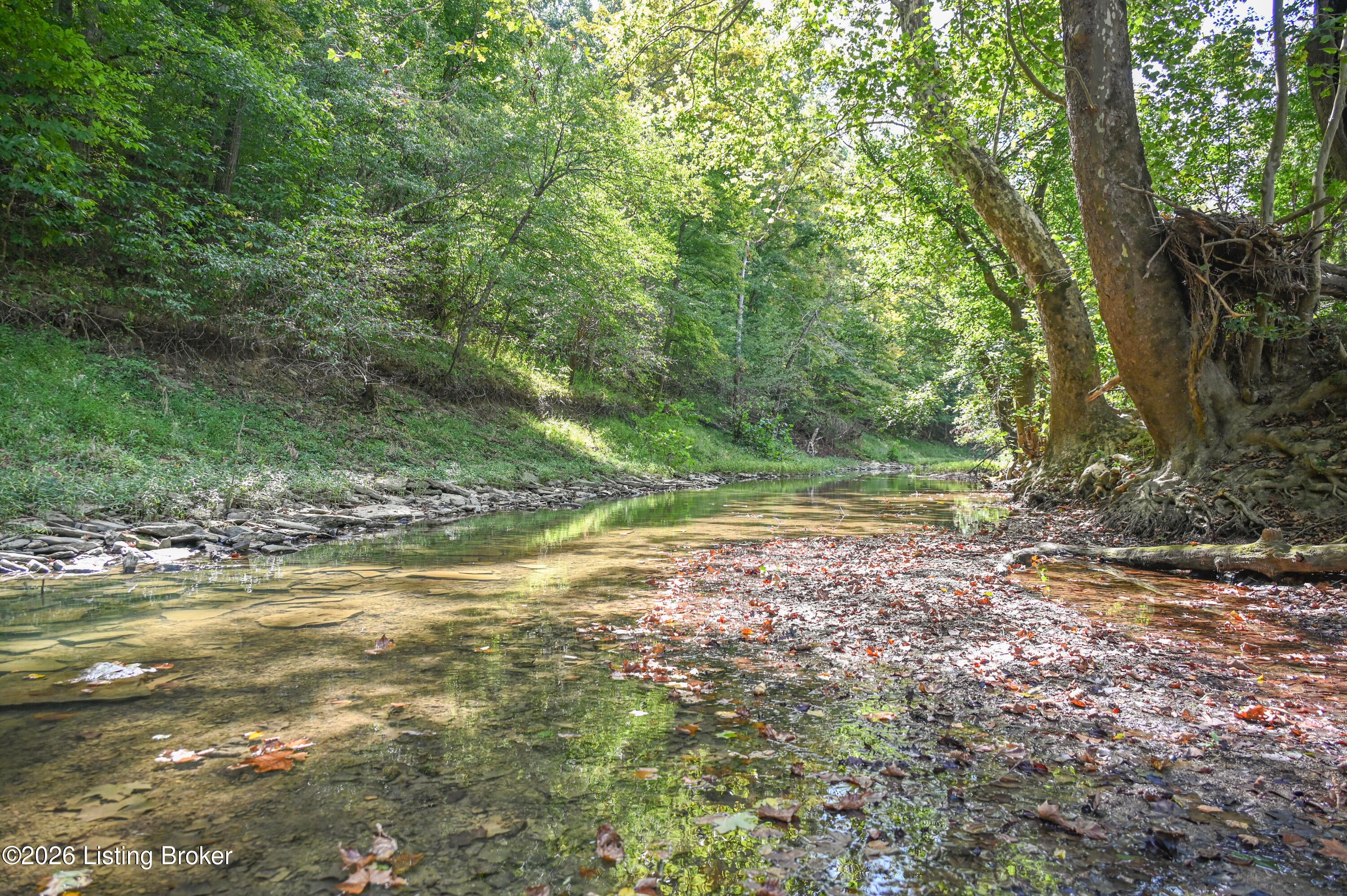 1925 Tick Creek Rd