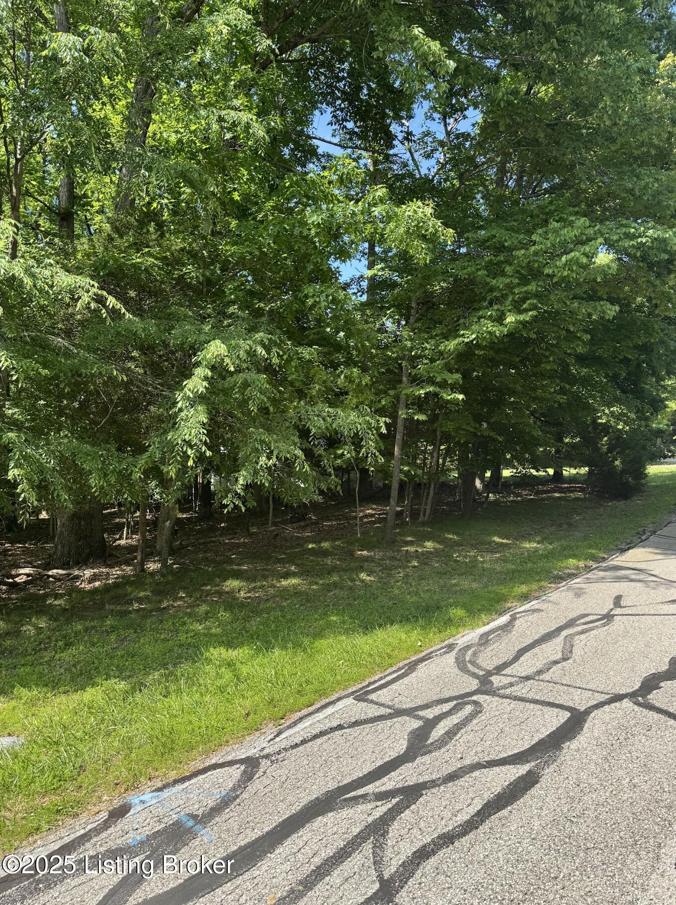 Lot 246 Pine Point Rd, Brandenburg, Kentucky image 1