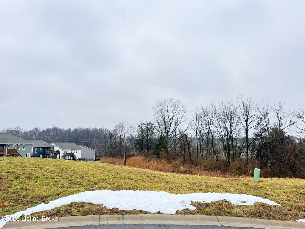 Photo of 6305 Pheasant Hill Ct, Louisville, KY 40229 (MLS # 1709086)