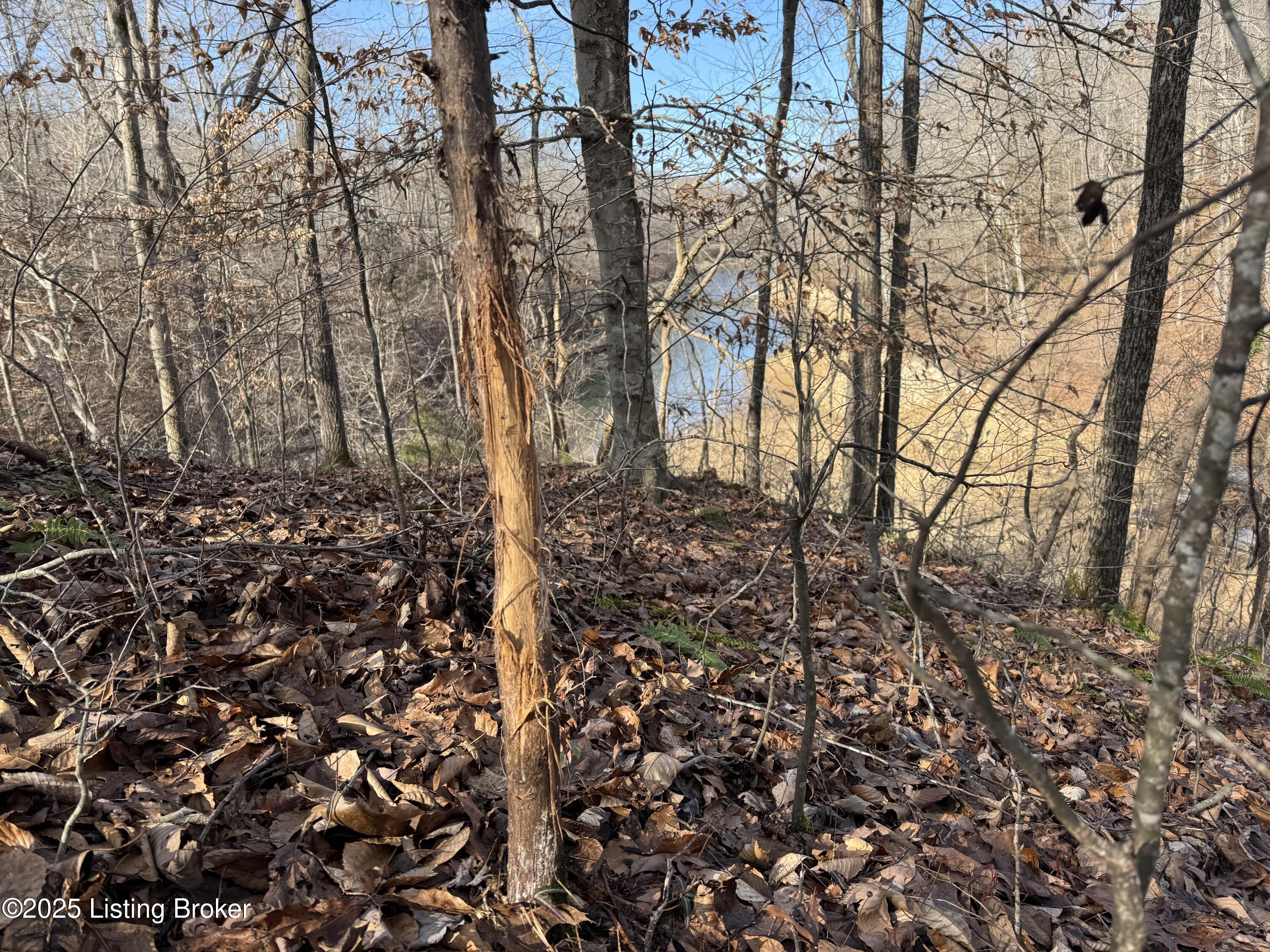 3 Hickory Ln, Mammoth Cave, Kentucky image 14