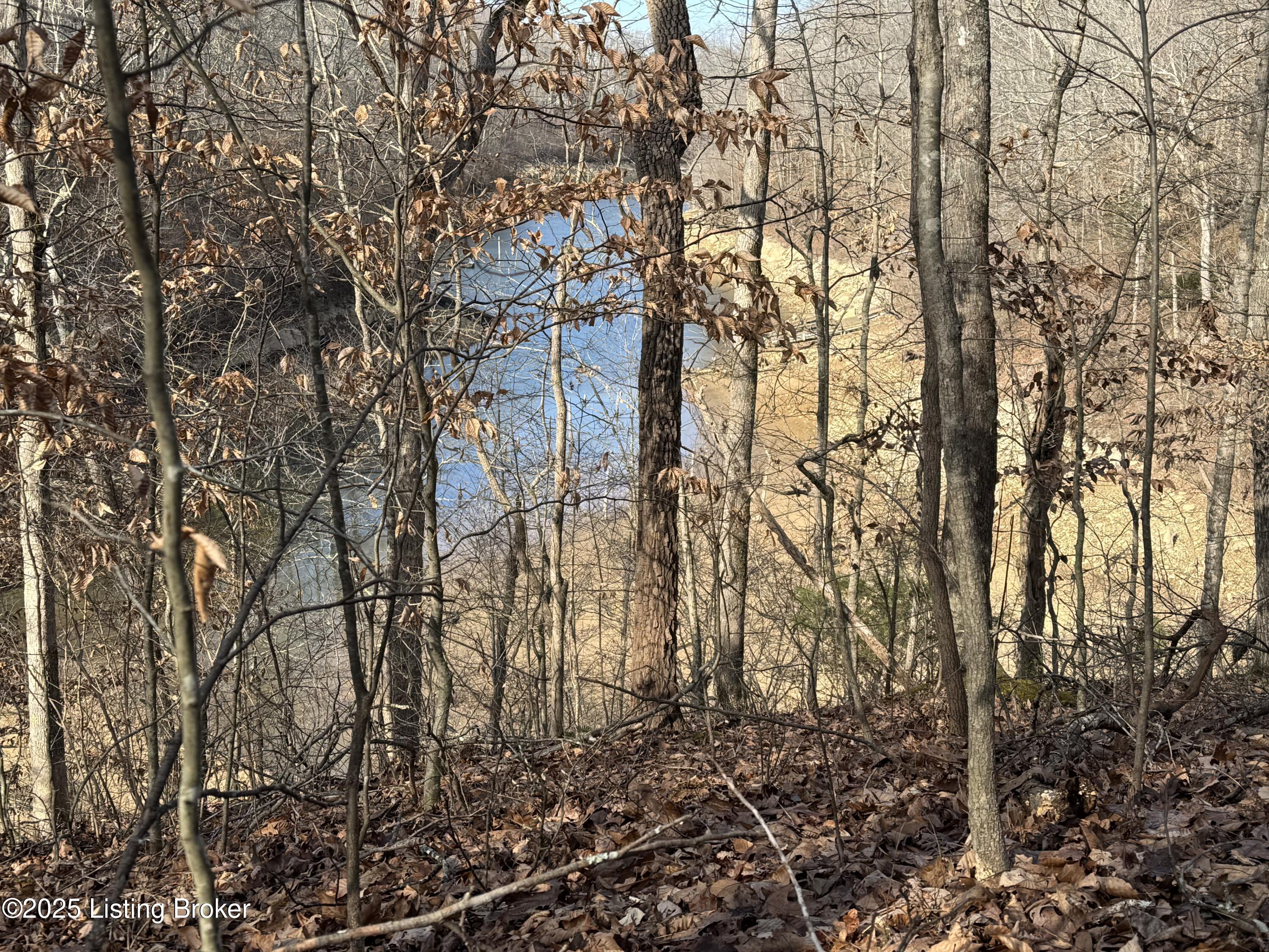 3 Hickory Ln, Mammoth Cave, Kentucky image 15