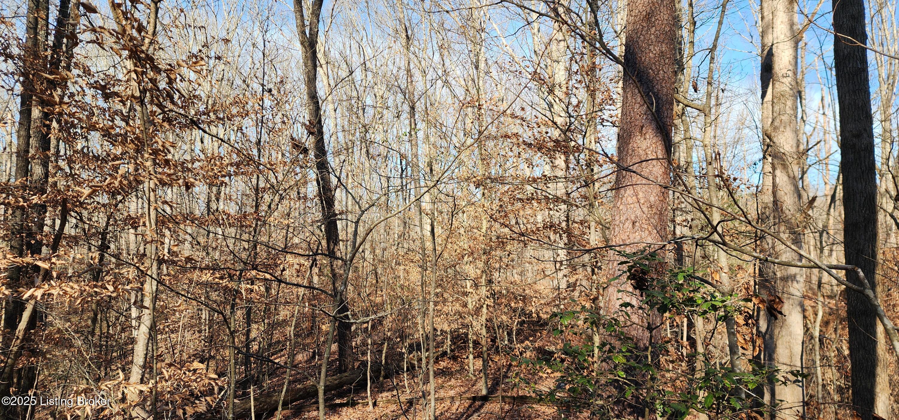 3 Hickory Ln, Mammoth Cave, Kentucky image 5